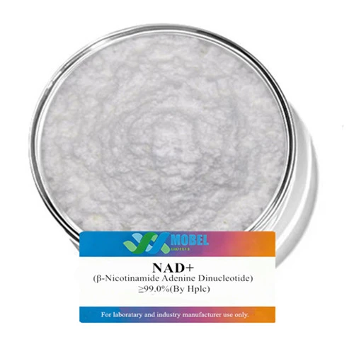 Nicotinamide Adenine Dinucleotide Nad Nicotinamide Adenine Dinucleotide Nad