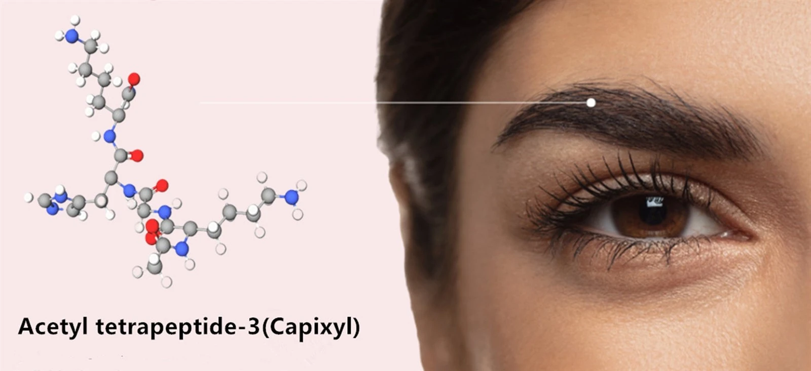 Acetyl tetrapeptide-3 hair growth Acetyl tetrapeptide-3 hair growth