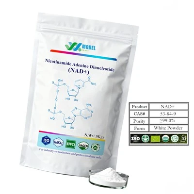 Nicotinamide Adenine Dinucleotide